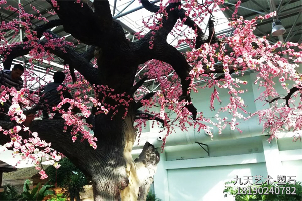 杏花假樹(shù) 杏花假樹(shù)